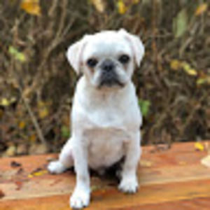 Meet your Posher, Marissa